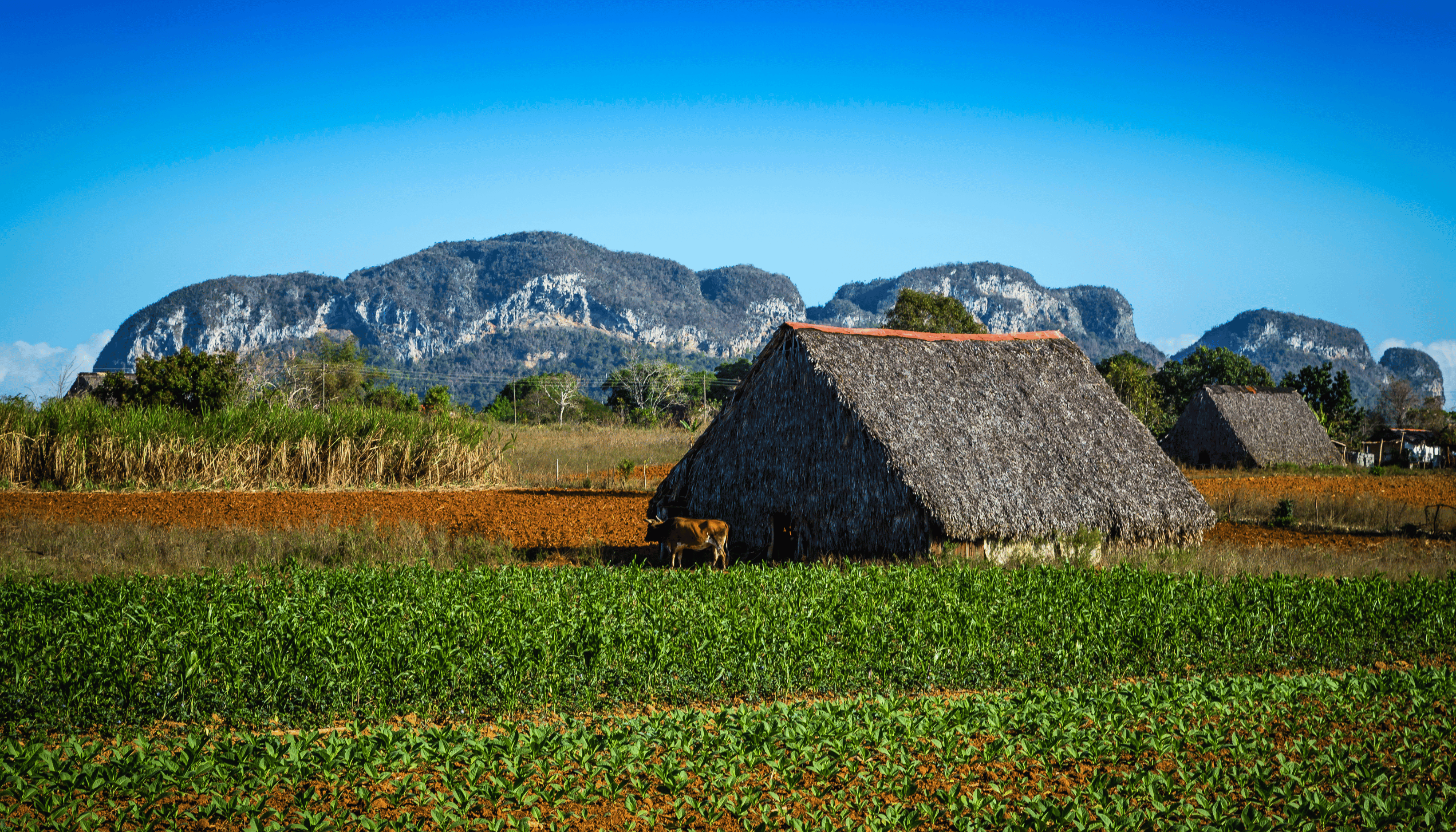 Viñales