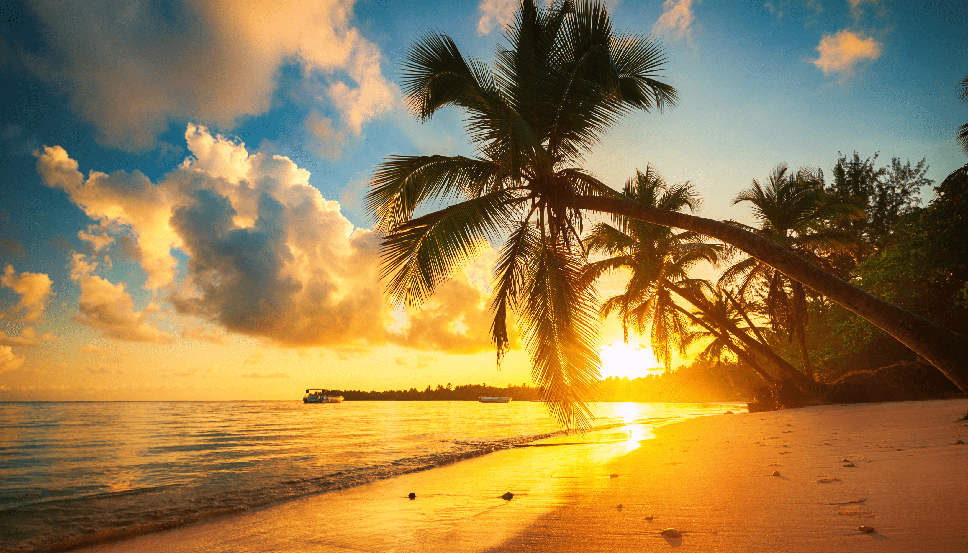 Punta Cana