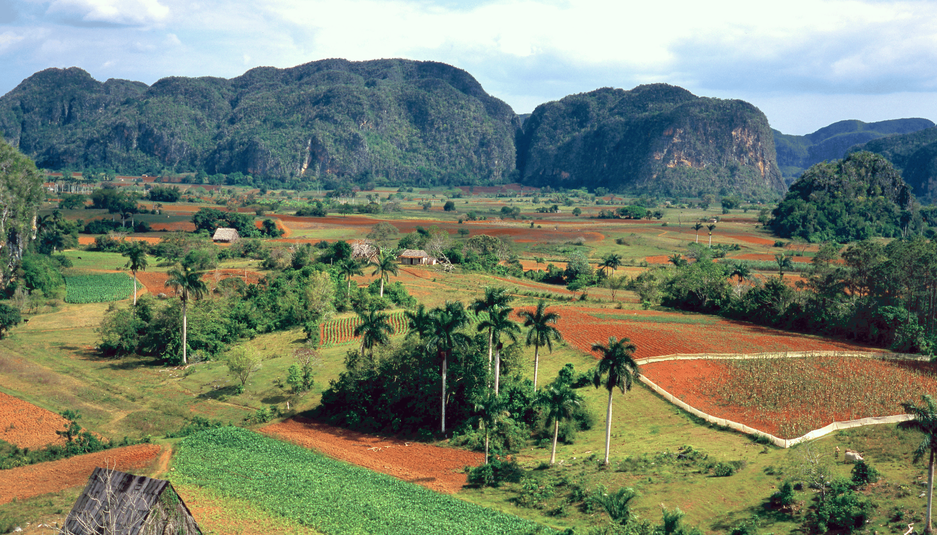 Viñales