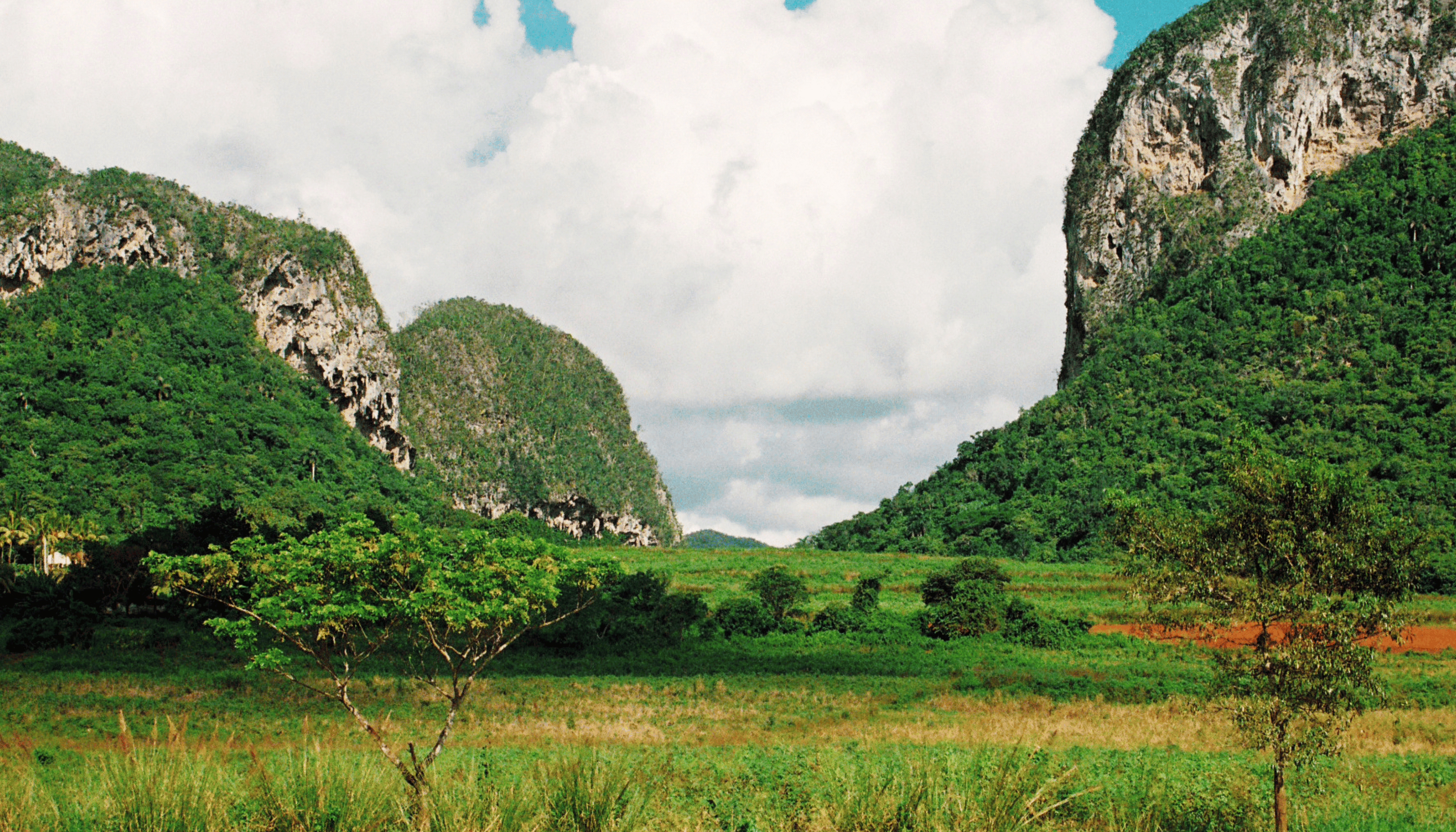 Viñales